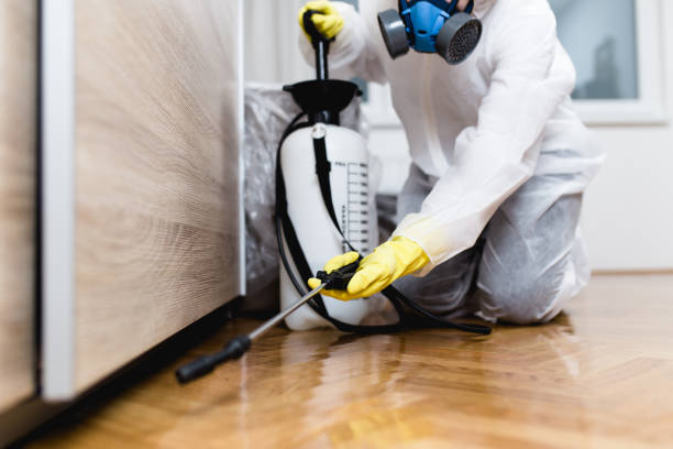 Best Wildlife Control Services  in Pawtucket, RI