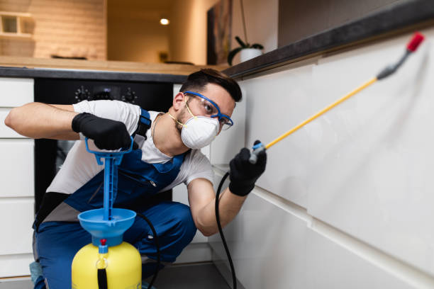 Best Best Pest Control Companies  in Pawtucket, RI
