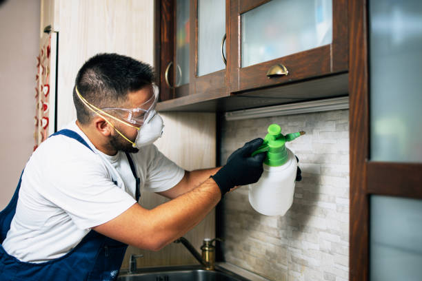 Best Local Pest Control Services  in Pawtucket, RI