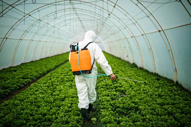 Best Pest Removal Services  in Pawtucket, RI