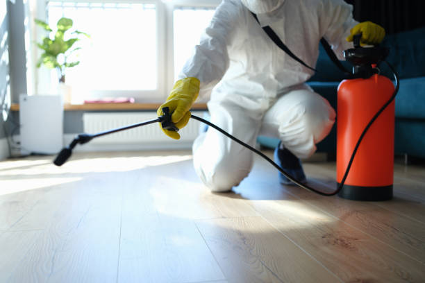 Best Affordable Pest Control Services  in Pawtucket, RI