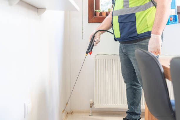 Best Pest Removal Services  in Pawtucket, RI