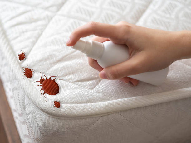 Pest Prevention Services in Pawtucket, RI