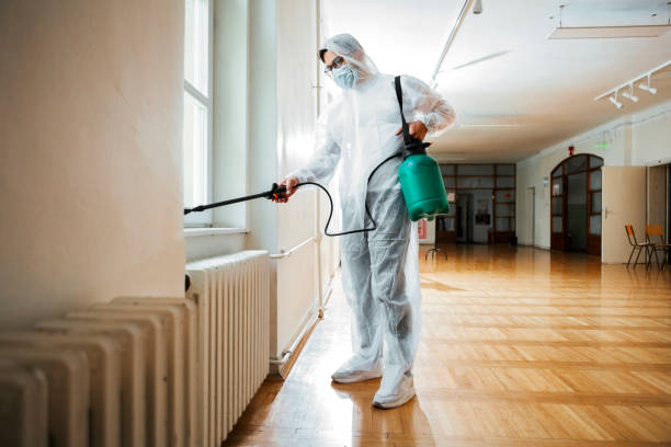 Trusted Pawtucket, RI Pest Control Experts